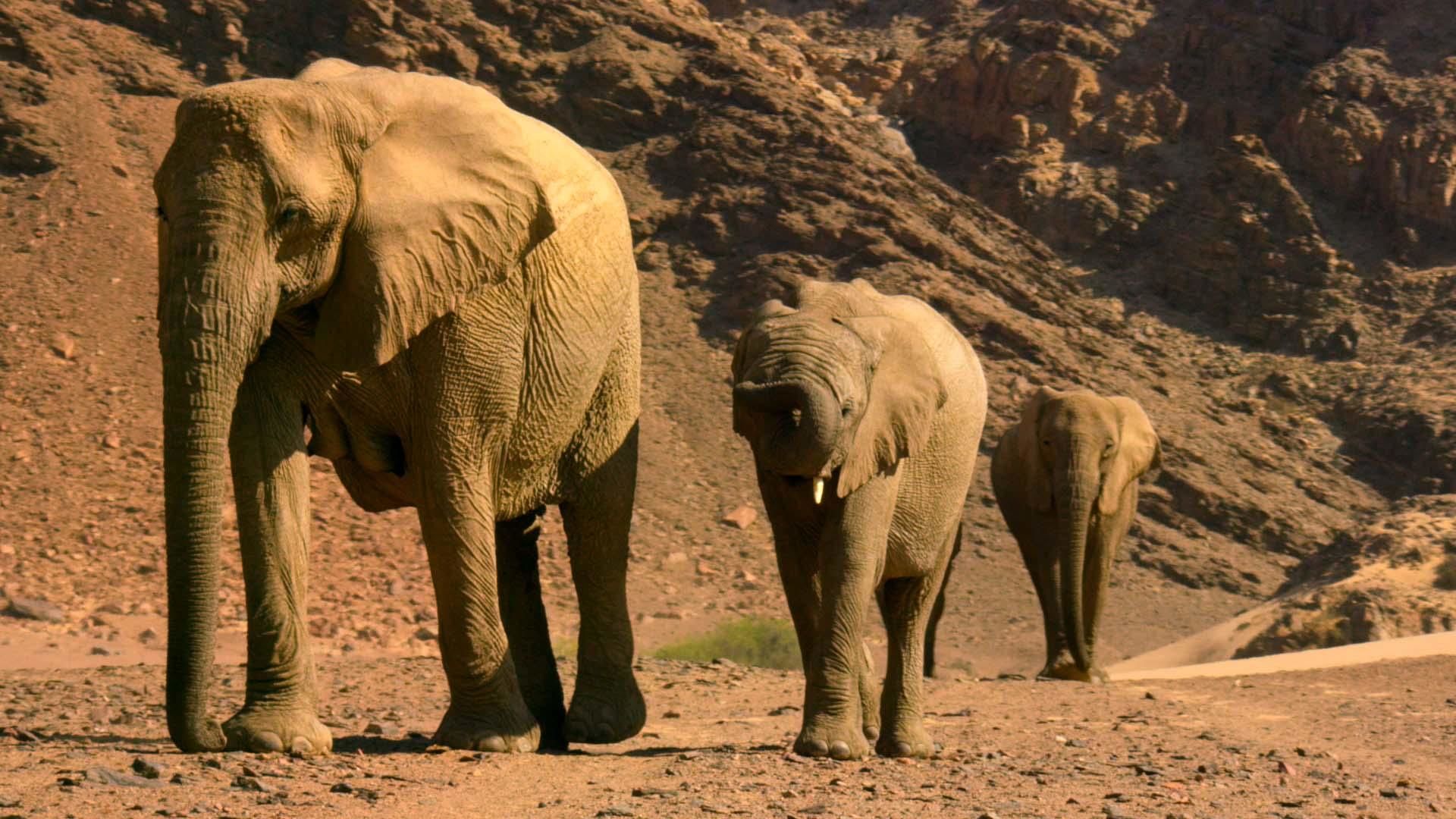 Наша планета 5 серия Наша планета 5 серия
